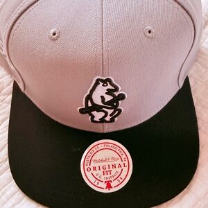 Mitchell & Ness Green and Gray Snapback Cap